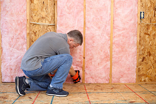 Best DIY Insulation Kits and Guidance in Concord, MI