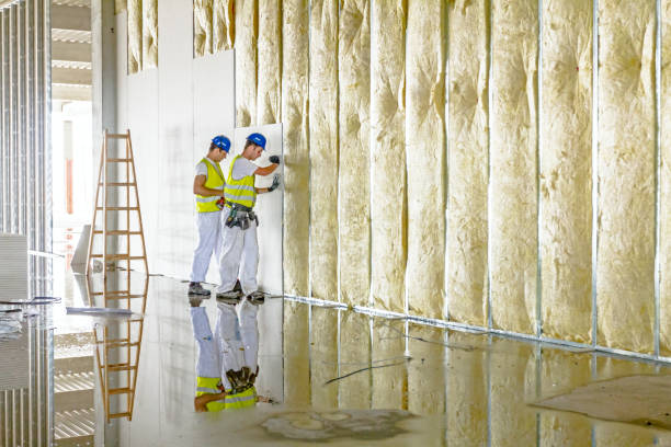 Best Eco-Friendly Insulation in Concord, MI